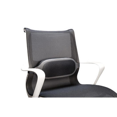 fellowes-i-spire-series-cojin-lumbar-correa-ajustable-fabricado-en-suave-espuma-negrogris
