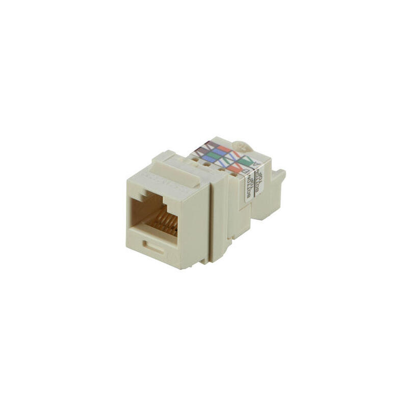 panduit-nk6tmiw-modulo-de-conector-de-red