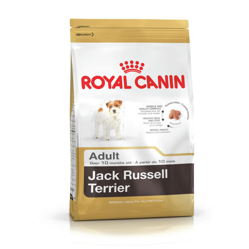 royal-canin-jack-russell-adult-adulto-aves-arroz-15-kg