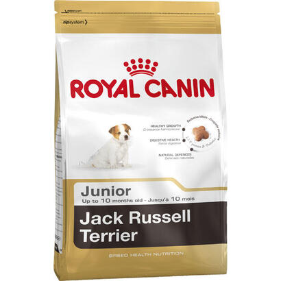 pienso-royal-canin-shn-breed-jack-russ-jun-3-kg-