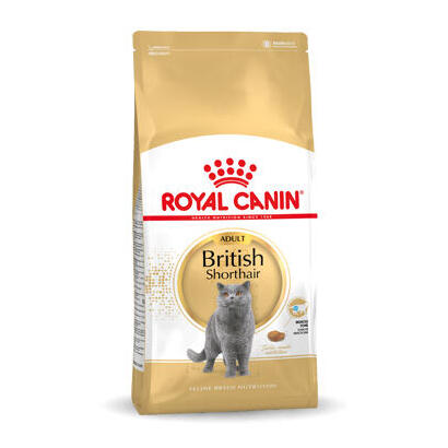 pienso-royal-canin-fbn-british-shorthair-4-kg-