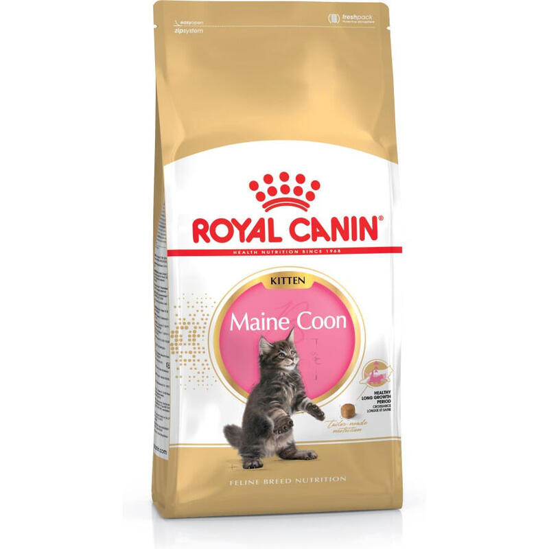royal-canin-maine-coon-kitten-alimento-seco-para-gatos-gatito-aves-arroz-4-kg