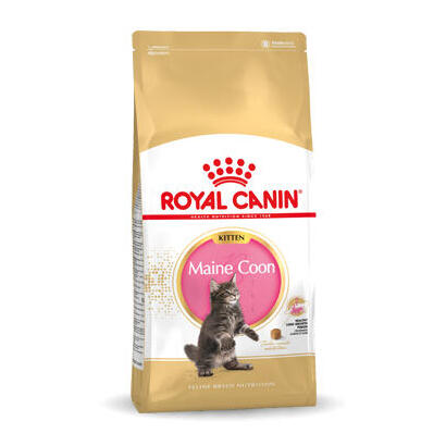 royal-canin-maine-coon-kitten-alimento-seco-para-gatos-gatito-10-kg