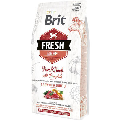 brit-fresh-beef-with-pumpkin-junior-ternera-25-kg