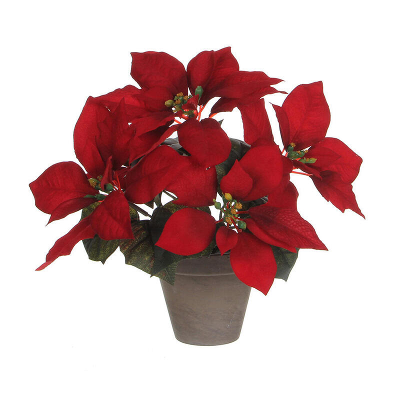 planta-ponsettia-roja-en-maceta-gris-27x35cm