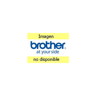 brother-papel-10-rollos-50x30mm