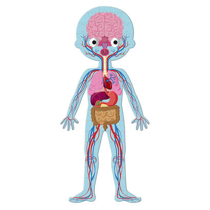 janod-cuerpo-humano-50-75-y-100-uds