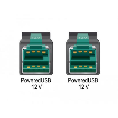 delock-85493-powered-usb-cable-macho-12-v-poweredusb-macho-12-v-2-m-para-terminales-e-impresoras-pos