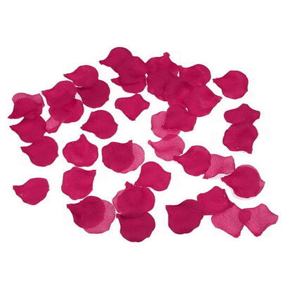 diablo-picante-100-petalos-fucsia