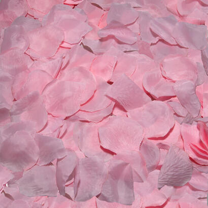 diablo-picante-100-petalos-rosa