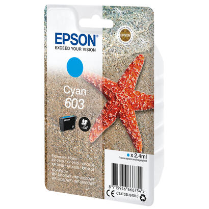 epson-singlepack-cyan-603-ink