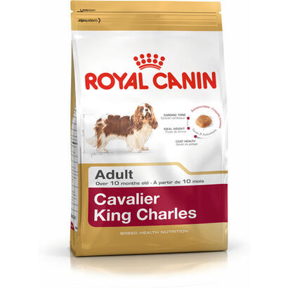royal-canin-shn-raza-cavalier-kc-15-kg