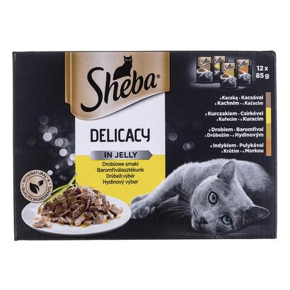 sheba-del-in-jelly-sabores-de-aves-de-corral-12x85g
