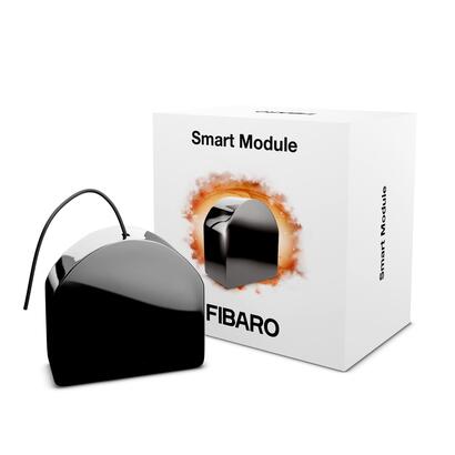 fibaro-smart-modulooe-fgs-214-fgs214