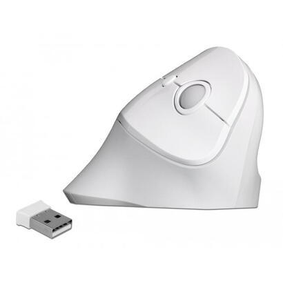 delock-raton-ergonomico-usb-vertical-inalambrico