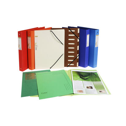 exacompta-50101e-carpeta-caja-de-carton-lila-a4