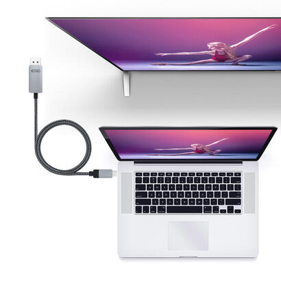 nanocable-cable-conversor-usb-c-macho-a-displayport-macho-180m-negroplata