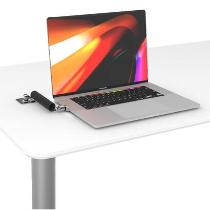 dual-head-coiled-t-bar-securitylock