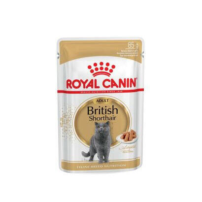 royal-canin-paquete-british-shorthair-12x85g