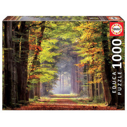 puzzle-paseo-otoal-1000pzs