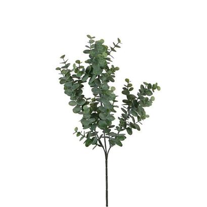 eucalipto-color-verde-65cm