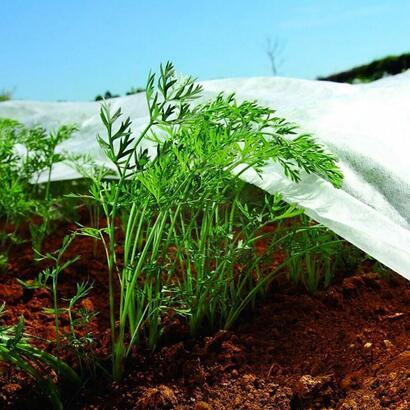 tela-de-proteccion-para-cultivos-bobina-2x20m-17grm-biotop-garden