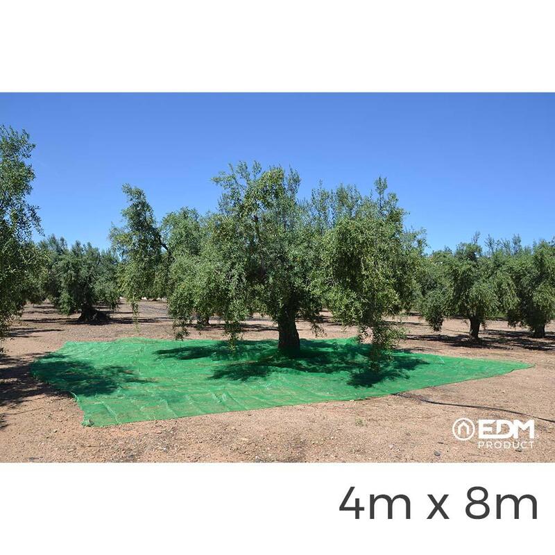 manto-para-recolecta-de-frutos-4x8m-color-verde