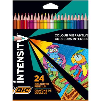 bic-intensity-color-up-caja-de-24-lapices-triangulares-de-colores-surtidos-fabricados-en-resina-mina-ultraresistente-de-320mm