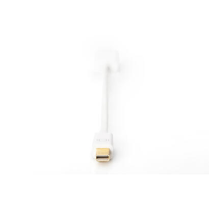 digitus-adapter-mini-dp-hdmi-typ-a-mm-blanco