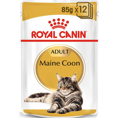 royal-canin-fbn-maine-coon-12x85-g
