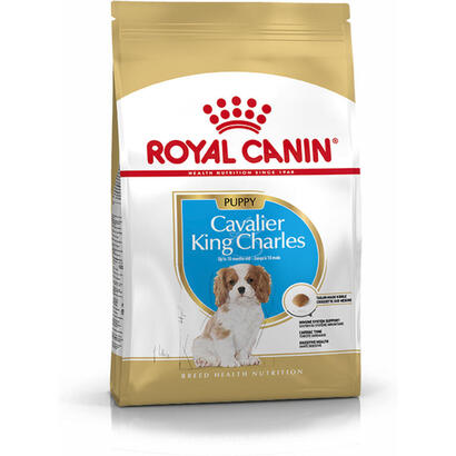 royal-canin-cavalier-pienso-seco-junior-15kg