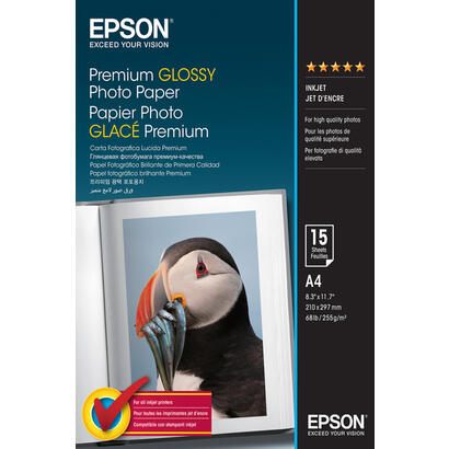 epson-papel-blanco-c13s042155-premium-glossy-papel-de-foto-din-a4-255-gm-15-hojas-premium-glossy