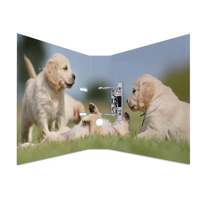 herma-carpeta-a4-perros