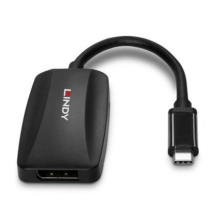 lindy-convertidor-usb-tipo-c-a-dp-14