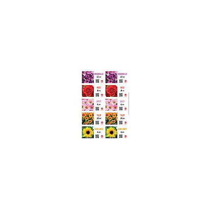 floralabels-etiqueta-autoadhesiva-975-x-57-mm-10-por-hoja-okimed31