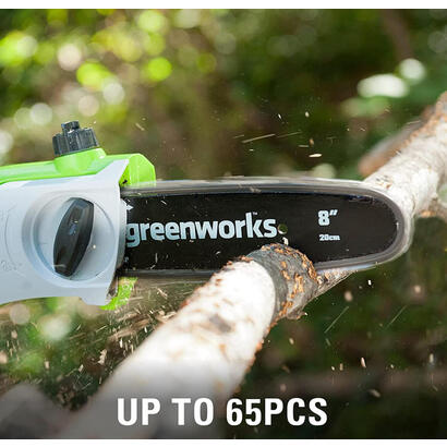 sierra-de-pertiga-y-cortasetos-de-pertiga-de-24-v-greenworks-g24psh-1303307