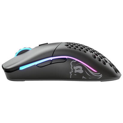 raton-glorious-pc-gaming-race-model-ambidextro-usb-tipo-a-12000-dpi