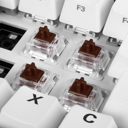 switch-set-sharkoon-gateron-pro-marron-4044951033720