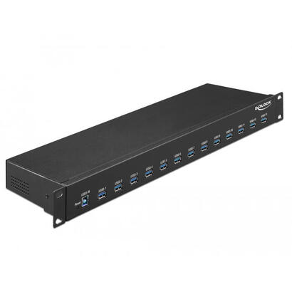 delock-hub-industrial-19-13-puertos-usb-31-gen-1-tipo-a