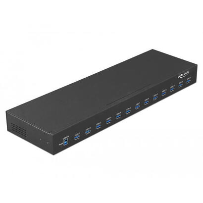 delock-hub-industrial-19-13-puertos-usb-31-gen-1-tipo-a