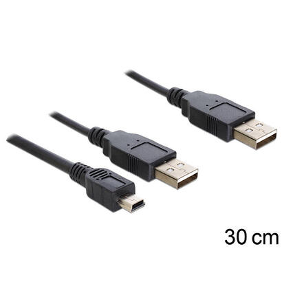 delock-cable-2-x-usb-20-a-male-usb-mini-5-pin30cm