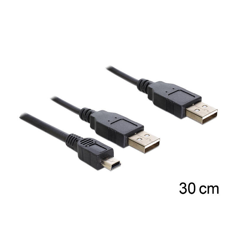 delock-cable-2-x-usb-20-a-male-usb-mini-5-pin30cm