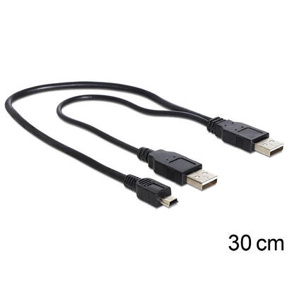 delock-cable-2-x-usb-20-a-male-usb-mini-5-pin30cm