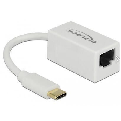 delock-adaptador-superspeed-usb-usb-31-gen-1-con-usb-type-c-macho-gigabit-lan-101001000-mbps-rj45-blanco