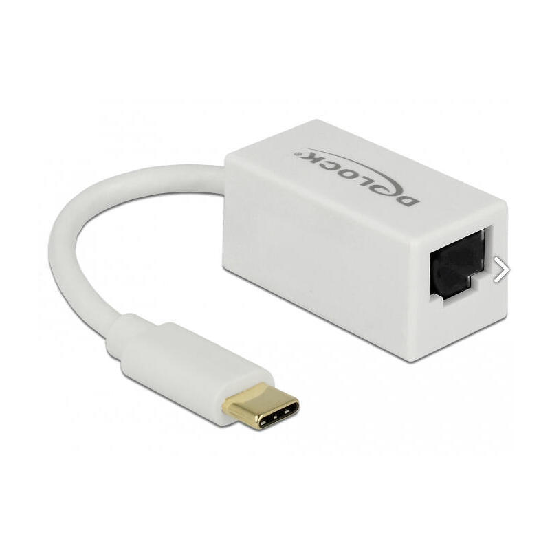 delock-adaptador-superspeed-usb-usb-31-gen-1-con-usb-type-c-macho-gigabit-lan-101001000-mbps-rj45-blanco