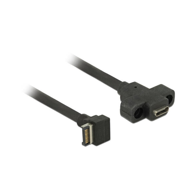 delock-cable-usb-31-gen-2-clave-a-macho-de-20-pines-usb-31-gen-2-usb-type-c-panel-de-montaje-hembra-de-45-cm