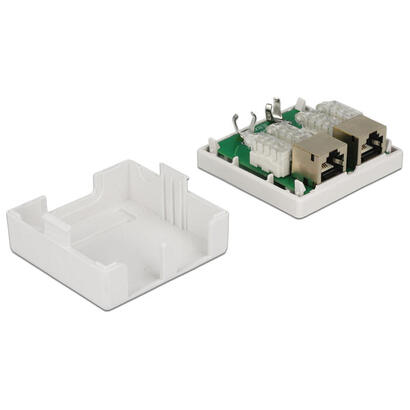 delock-roseta-2-port-cat6-lsa