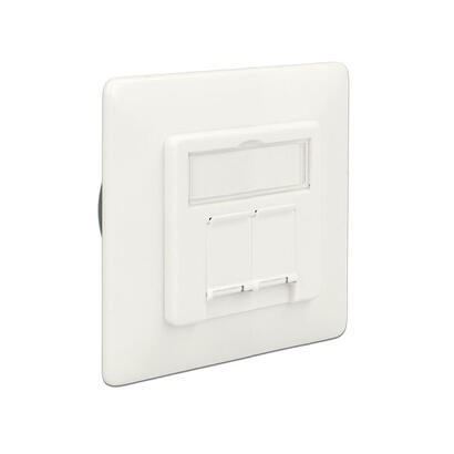 delock-modular-wall-outlet-flush-mount-2-port-cat6a-lsa