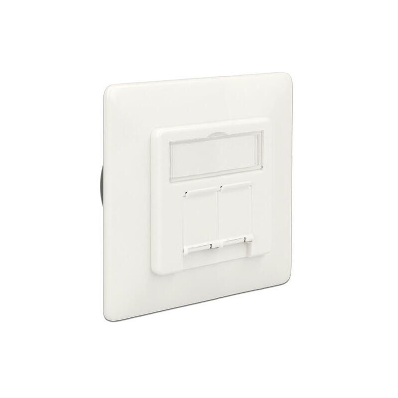 delock-modular-wall-outlet-flush-mount-2-port-cat6a-lsa