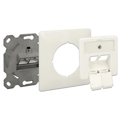 delock-modular-wall-outlet-flush-mount-2-port-cat6a-lsa